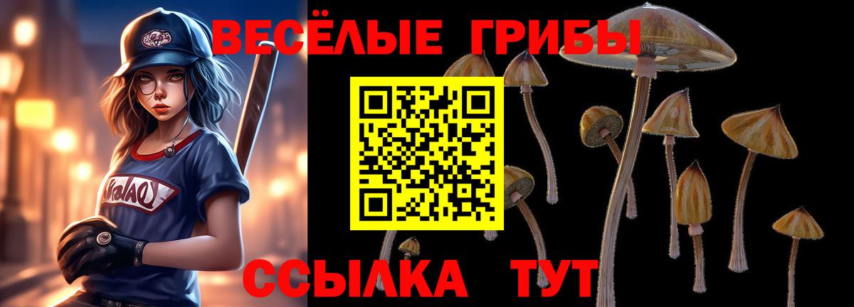 Галлюциногенные грибы GOLDEN TEACHER  Вход с VPN  Родники 