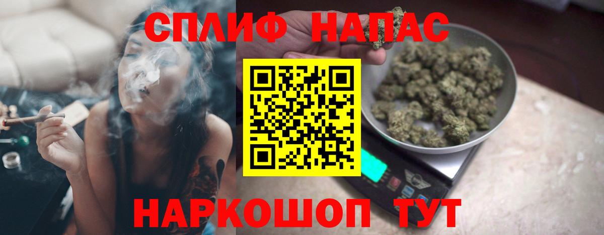 Конопля MAZAR  Канабис сатива  МАРИХУАНА планчик  Конопля семена  Вход с VPN  Родники 